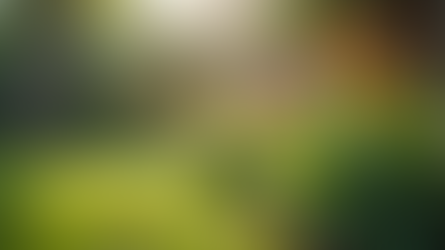 A Importância de Serviços Residenciais de Qualidade