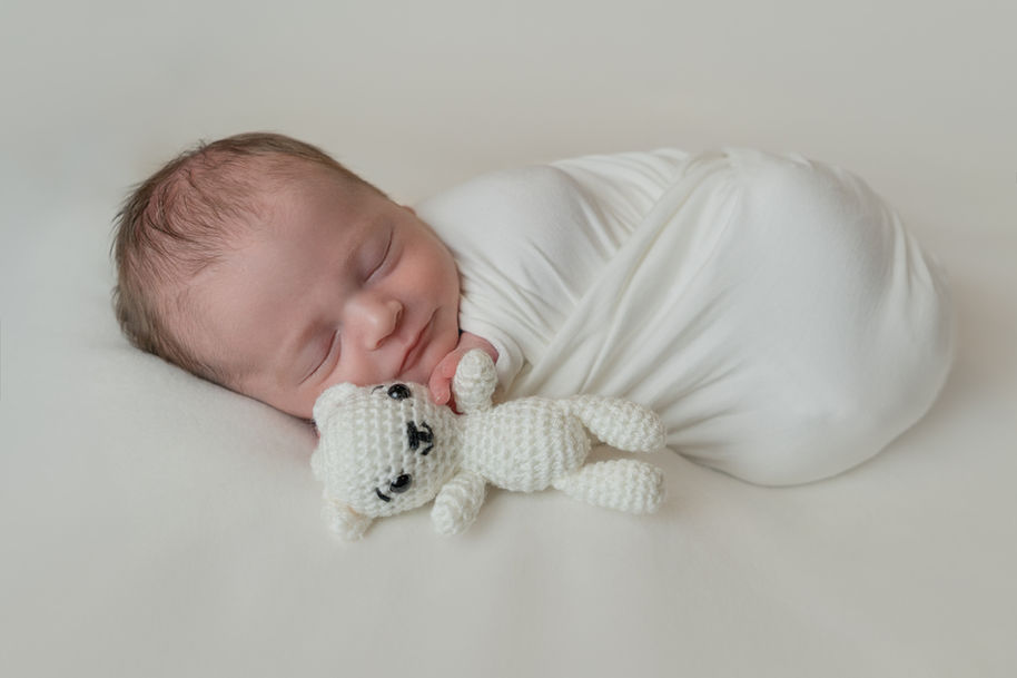 DSC03988-Modifier copy.jpg