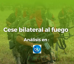 Cese bilateral al fuego en Colombia. Entrevista en Blu Radio