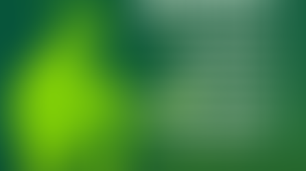 Hay que guardar las formas dentro de los procesos de paz. 