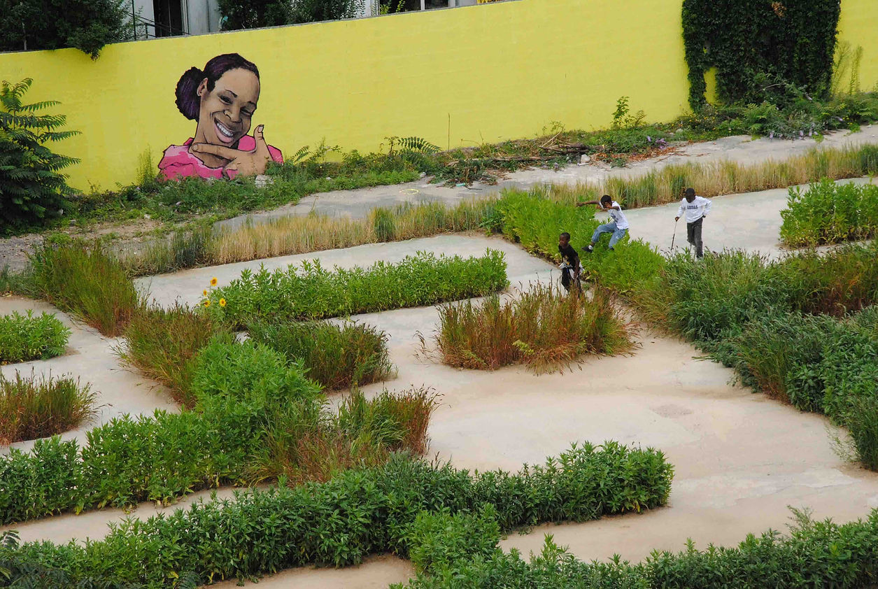 19DSC_0450yeslight - copie 2.jpeg