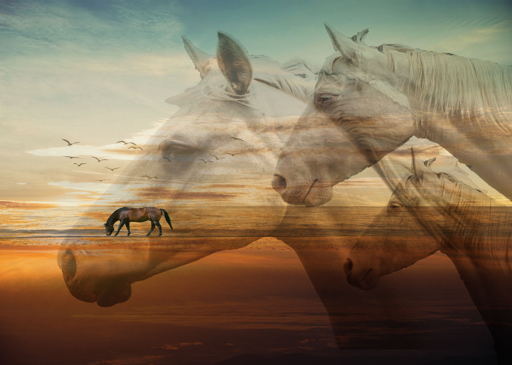 Remember the Prairie