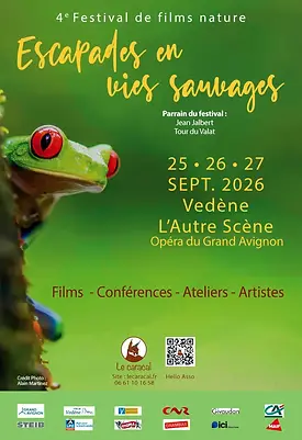 festival-2026.webp
