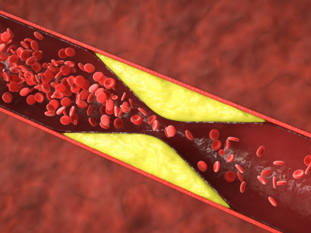 Cholesterin: Alles, was Sie wissen müssen – Ursachen, Funktionen und wie Sie es in Balance halten