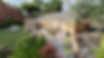 PHOTO TILLIE.jpg