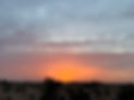 IMG_9985.jpeg