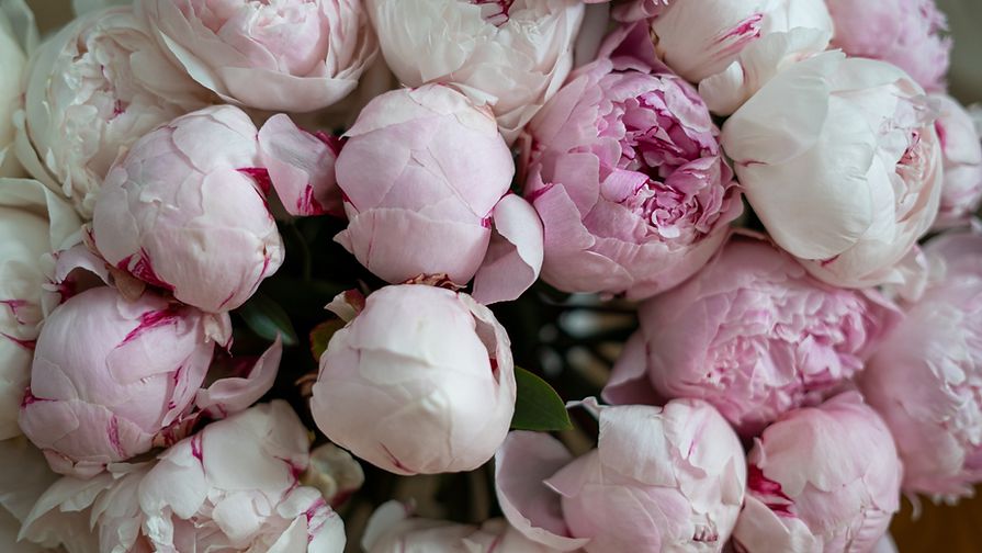 FB Banner Kinderwunderwerk (3).png