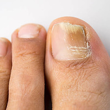 istockphoto-478668477-612x612.jpg