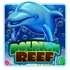 Dolphin Reef