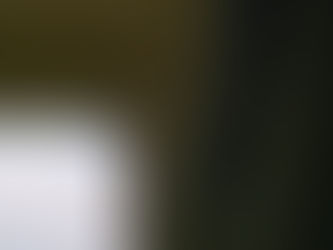 16 ÜLKEDEN 323 YELKENCİ BODRUM’DA