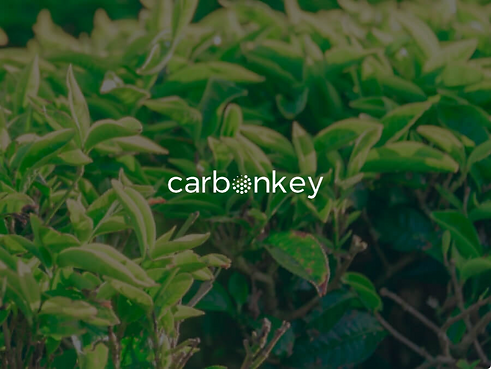 LogoAi - carbonkey Watermark13.jpg