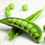 Thumbnail: Sugar Snap Pea Seeds