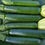Thumbnail: Green Machine Zucchini