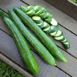 Tasty Green Cucumber: 10 Seeds