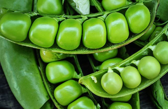 Sugar Snap Pea Seeds