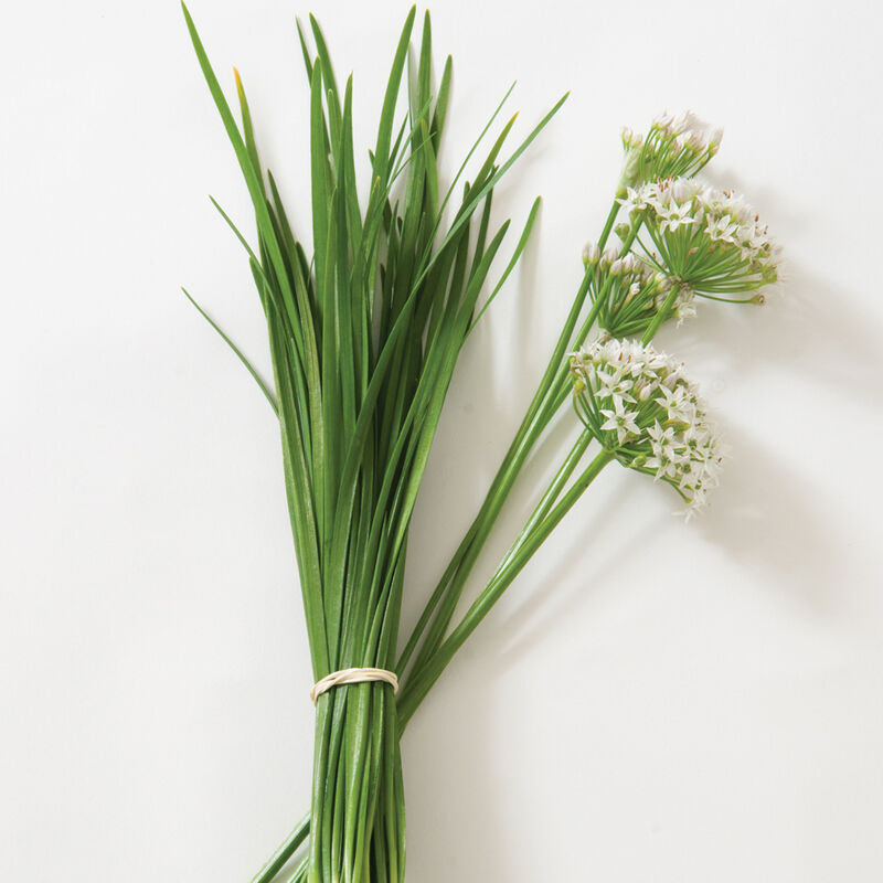 Thumbnail: Garlic Chives