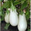 Thumbnail: White Star Eggplant