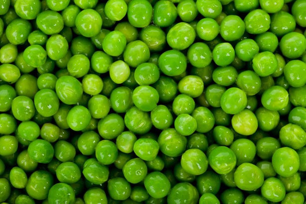 Thumbnail: Little Marvel Pea - 50 Seeds