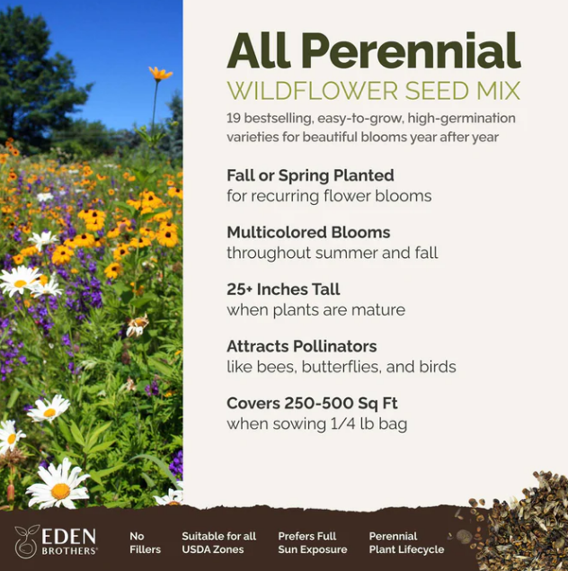 Thumbnail: All Perennial Wildflower Mix: 1,000 Seeds