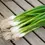 Thumbnail: Evergreen White Nebuka Bunching Onion: 300 Seeds