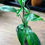 Thumbnail: Philodendron Jerry Horne (Bipennifolium × Mexicanum)