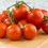 Thumbnail: Large Cherry Tomato - 15 Seeds