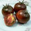Thumbnail: Black Prince Tomato
