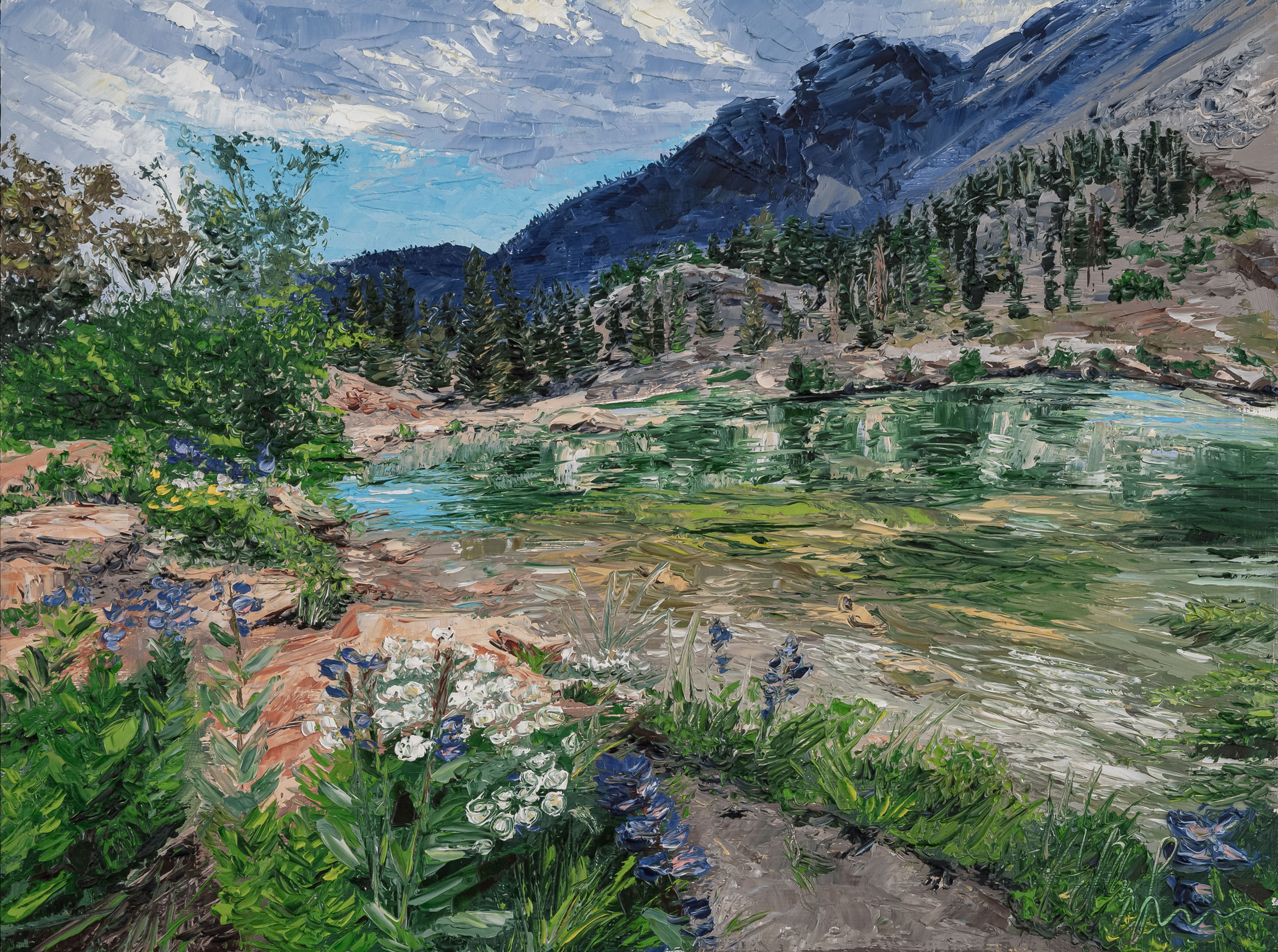 Cecret Lake (Albion Basin)