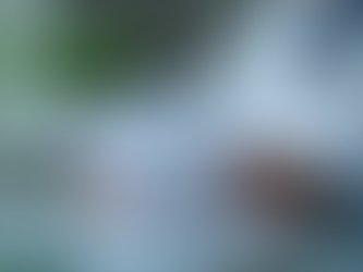 Um médico revisando cuidadosamente os registros dos pacientes para garantir conformidade e precisão.