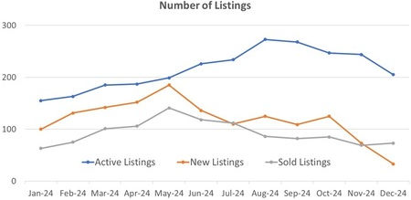 Town of Chapel Hill: Number of active, new, and sold Listings over the past 12 months