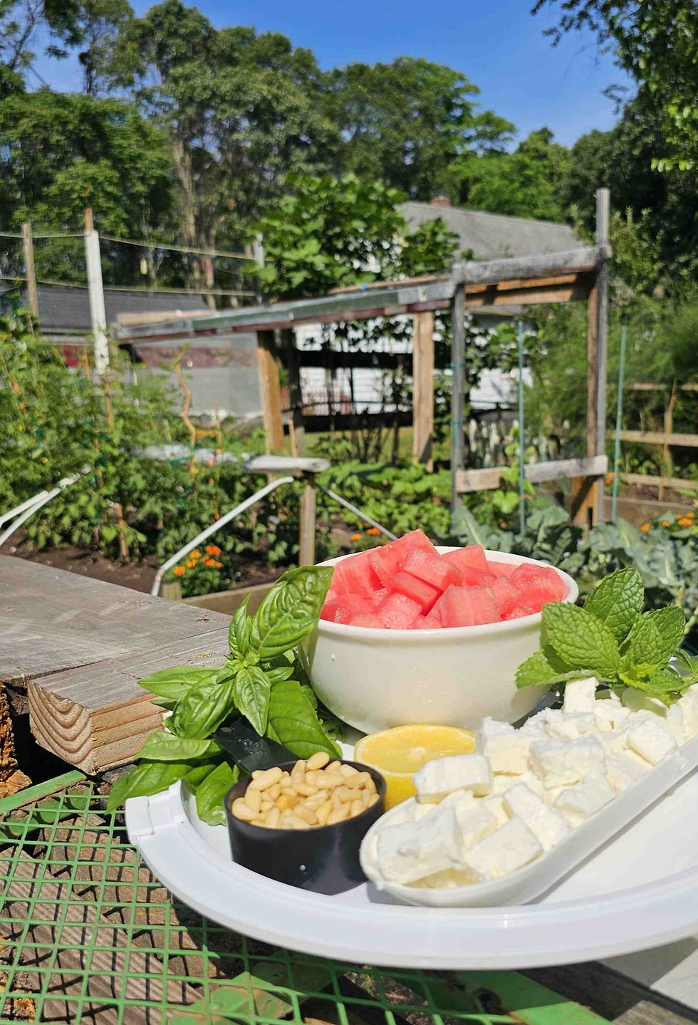 Ingredients for this simple Watermelon/Feta Salad.
