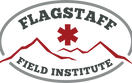 2019 FFI logo (1) (1).png