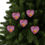 Thumbnail: Baby's 1st Christmas, Holiday Tree Keepsake
