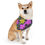 Thumbnail: Floral Pet Bandana Collar by TAVi Art