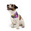 Thumbnail: Floral Pet Bandana Collar by TAVi Art