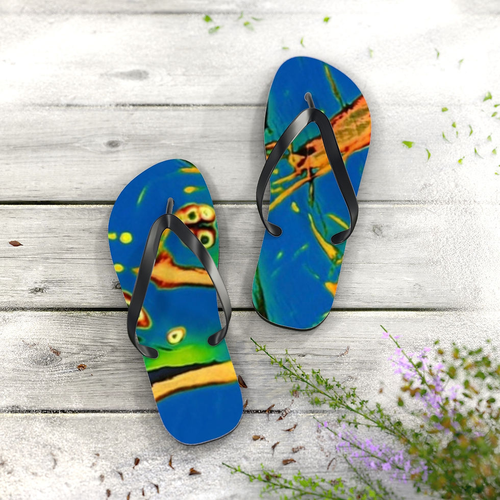 Thumbnail: Flip Flops