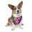 Thumbnail: Floral Pet Bandana Collar by TAVi Art