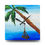 Thumbnail: "Palm Swing" Acrylic Wall Clock
