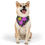 Thumbnail: Floral Pet Bandana Collar by TAVi Art