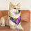 Thumbnail: Floral Pet Bandana Collar by TAVi Art