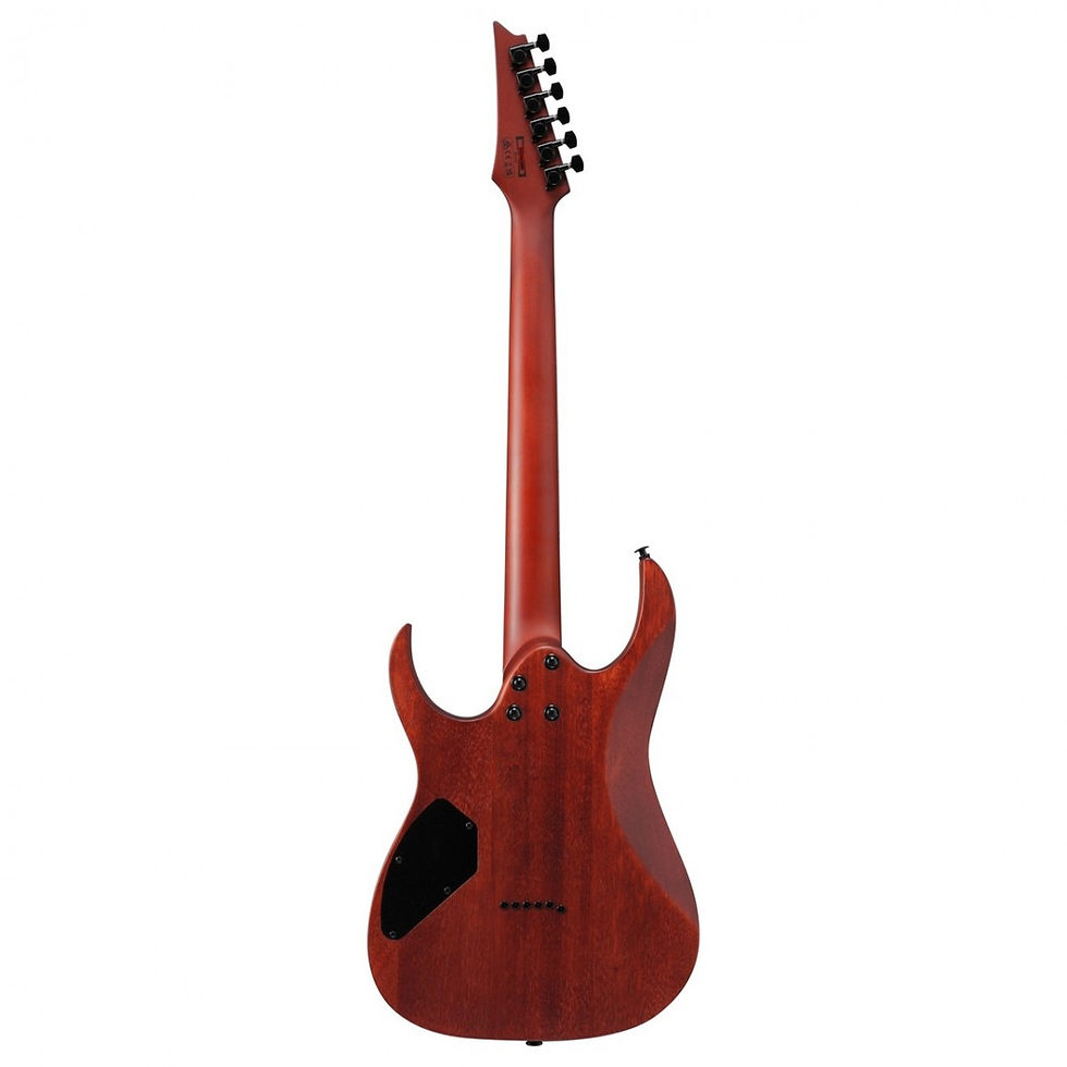 Thumbnail: Ibanez GRG121PAR, Black Poplar Burst Flat