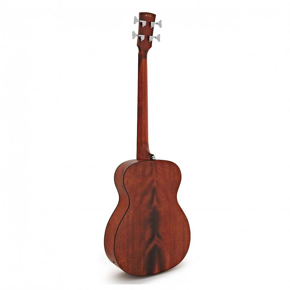 Thumbnail: Ibanez PCBE12, Open Pore Natural Acoustic Bass