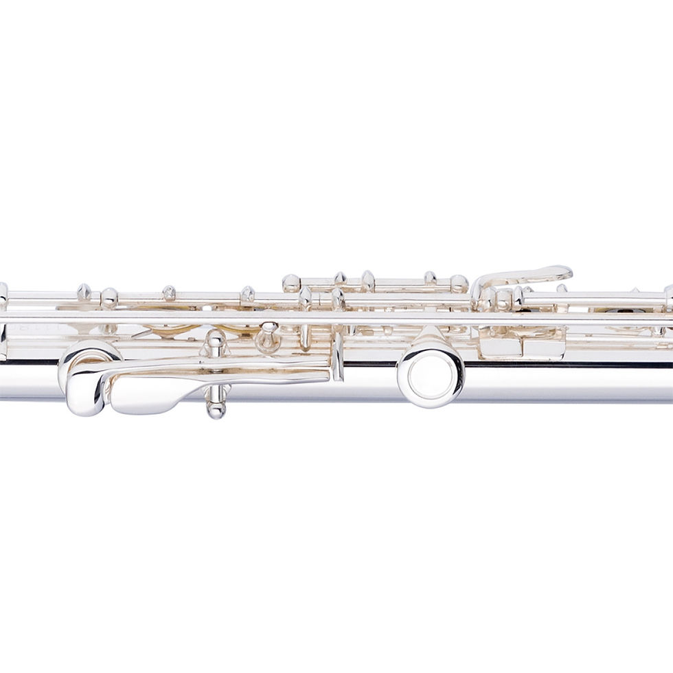 Thumbnail: Stagg WS-FL221S Curved Head Flute Outfit Inc. Case