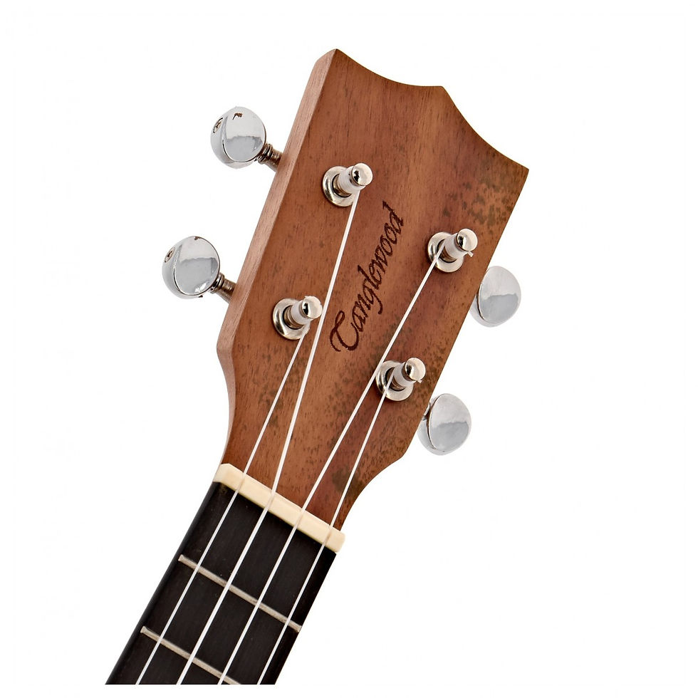 Thumbnail: Tanglewood TWT9 Spruce Concert