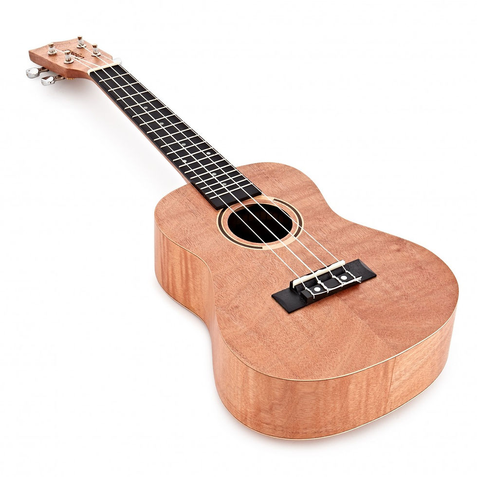 Tanglewood TWT6, Tiare Series Concert