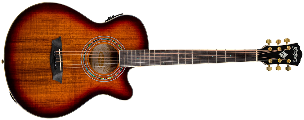 Thumbnail: Washburn EA55G-AU Koa Top, Electro-Acoustic