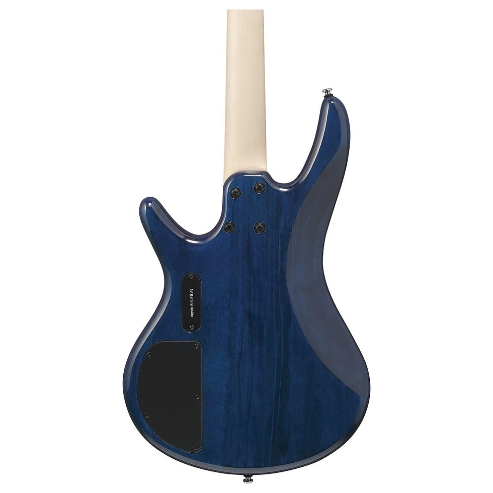 Thumbnail: Ibanez GSR200 GIO Series, Blue Moon Burst