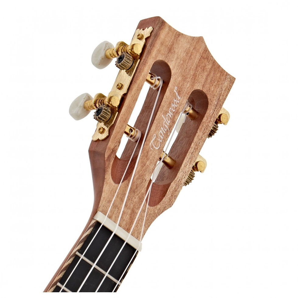 Thumbnail: Tanglewood TWT10 Spalted Maple Concert