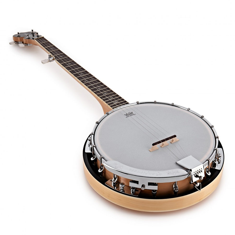 Thumbnail: Tanglewood TWB-18-M5 5 String Banjo