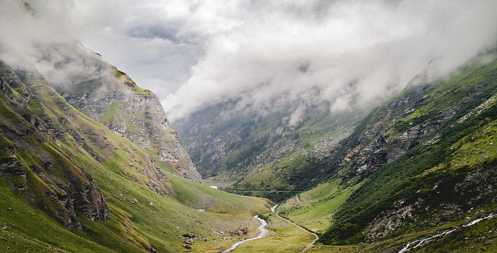 mario-alvarez-M1YdS0g8SRA-unsplash_edite